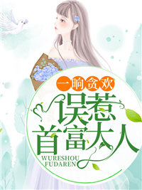 误惹首富大人林安宁陆霆骁