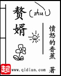 宁毅苏檀儿