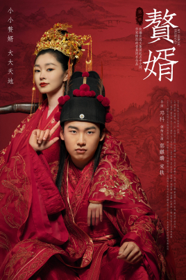 赘婿小说
