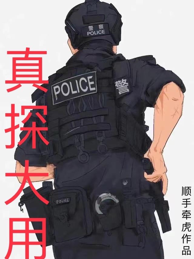 真探大用