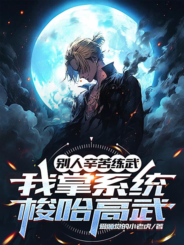 别人辛苦练武，我掌系统梭哈高武